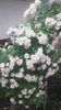 20160524_181804
