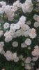 20160524_181835