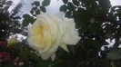 20160524_182456