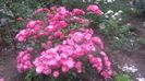 20160524_181115
