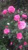 20160524_181335