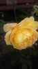 20160524_181433