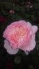 20160524_181455