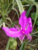 IMG_20160525_212835