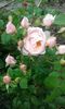 20160525_174347