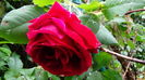 DSC04307