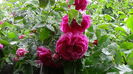 DSC04362
