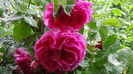DSC04364