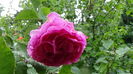DSC04365