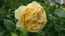 DSC04380