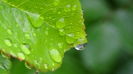 DSC04419