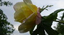 DSC04427