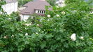 DSC04452