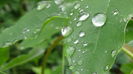 DSC04466
