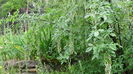 DSC04476