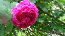 DSC04490