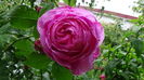DSC04553