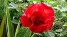 DSC04555