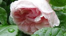 DSC04572