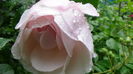 DSC04573