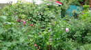 DSC04576