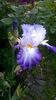WP_20160525_072