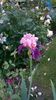 WP_20160525_050
