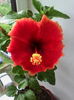 IMG_20160525_142819