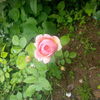 IMG_20160525_173648