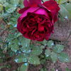 IMG_20160522_205056