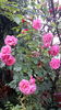 20160526_111534