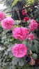20160526_111540
