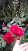 20160526_111449