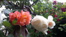 20160526_105102
