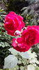 20160526_093950