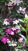 20160526_094003