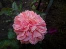 IMG_20160525_093247
