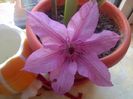 IMG_20160522_193837