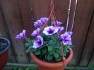 IMG_20160523_081512