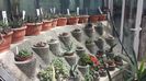20160515_152455