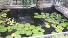 20160515_152739