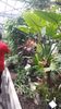 20160515_152852