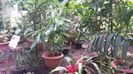 20160515_153111