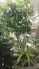 20160515_153233