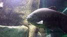 20160515_153450