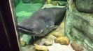 20160515_153502