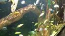 20160515_153528