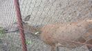 20160515_163042