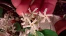 WP_20160526_22_46_21_Pro