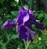 20160522_105024-1